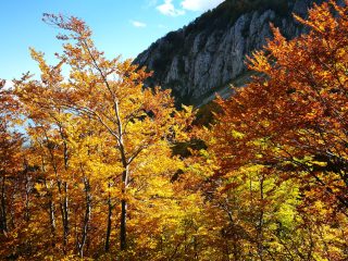 Herbstliche Wanderung am Jablanica Gebirge