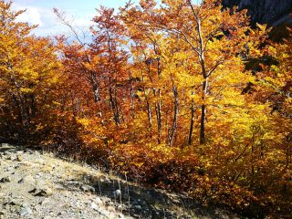 Herbstliche Wanderung am Jablanica Gebirge