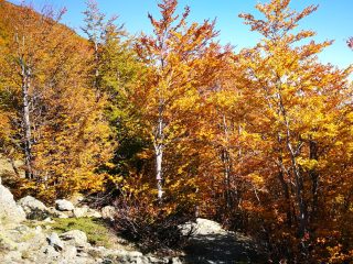 Herbstliche Wanderung am Jablanica Gebirge