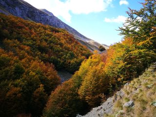 Herbstliche Wanderung am Jablanica Gebirge