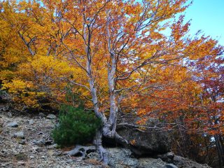 Herbstliche Wanderung am Jablanica Gebirge