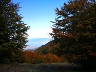 Herbstliche Wanderung am Jablanica Gebirge