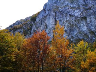 Herbstliche Wanderung am Jablanica Gebirge