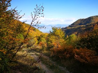 Herbstliche Wanderung am Jablanica Gebirge