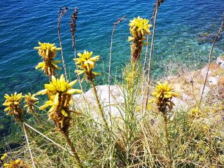 Lake Ohrid - one of oldest lake on earth