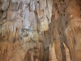 Pellumbas Höhle bei Tirana