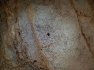 Pellumbas Höhle bei Tirana