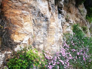 Pilion Mountains - a marveless day trip