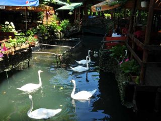 The idyllic Drilon Park next to Pogradec