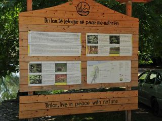 The idyllic Drilon Park next to Pogradec