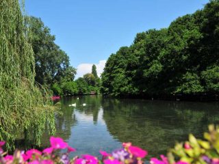 The idyllic Drilon Park next to Pogradec