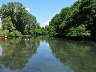 The idyllic Drilon Park next to Pogradec