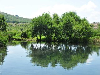The idyllic Drilon Park next to Pogradec