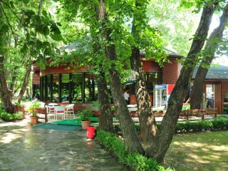 The idyllic Drilon Park next to Pogradec