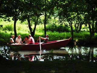 The idyllic Drilon Park next to Pogradec