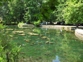 pogradec 091