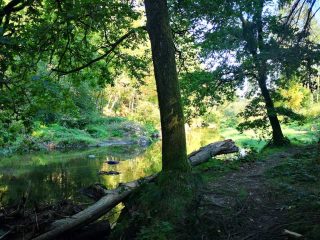 Wanderung entlang der Feldaist in Pregarten