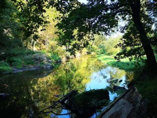 Wanderung entlang der Feldaist in Pregarten