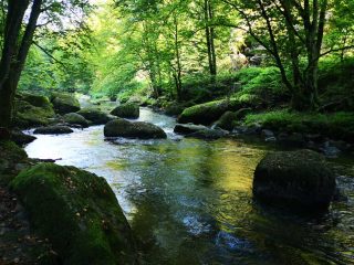 Wanderung entlang der Feldaist in Pregarten