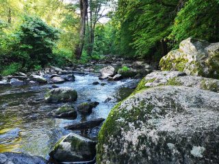 Wanderung entlang der Feldaist in Pregarten