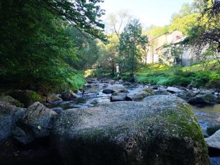Wanderung entlang der Feldaist in Pregarten