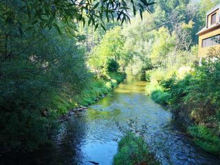 Wanderung entlang der Feldaist in Pregarten