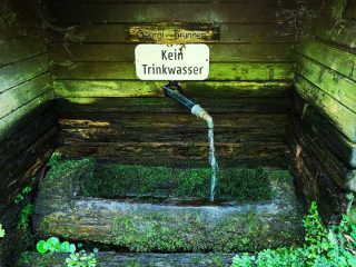 Wanderung entlang der Feldaist in Pregarten