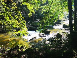 Wanderung entlang der Feldaist in Pregarten