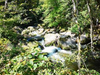 Wanderung entlang der Feldaist in Pregarten
