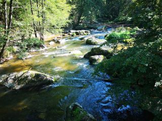Wanderung entlang der Feldaist in Pregarten