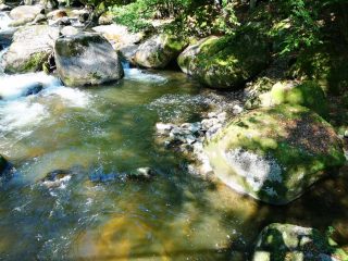 Wanderung entlang der Feldaist in Pregarten