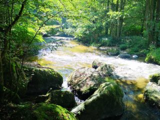 Wanderung entlang der Feldaist in Pregarten