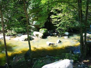 Wanderung entlang der Feldaist in Pregarten