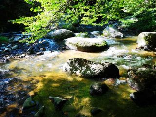 Wanderung entlang der Feldaist in Pregarten