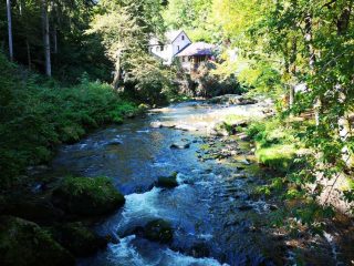 Wanderung entlang der Feldaist in Pregarten