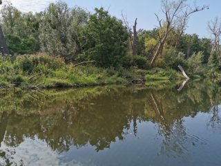 Entspanntes Paddeln auf der Saale Bad Kösen