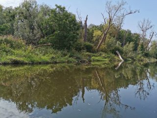 Entspanntes Paddeln auf der Saale Bad Kösen