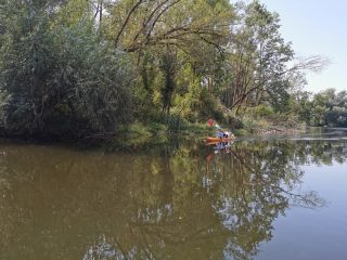 Entspanntes Paddeln auf der Saale Bad Kösen