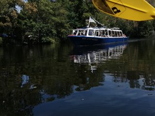 Entspanntes Paddeln auf der Saale Bad Kösen