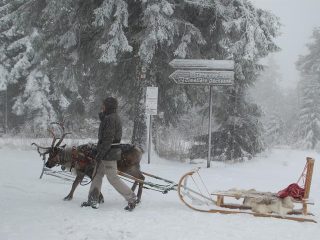 Hiking in the snow with sledge