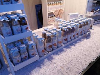 Weihnachtsmarkt am Schloss Schönbrunn