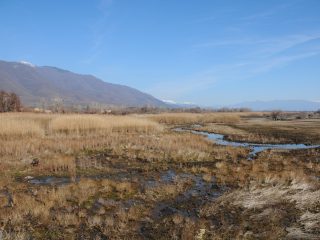 Lake Kerkini Wetlands