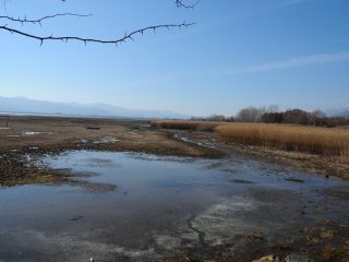 Lake Kerkini Wetlands