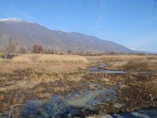 Lake Kerkini Wetlands