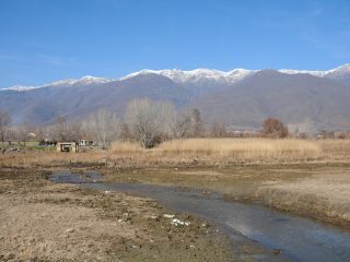 Lake Kerkini Wetlands