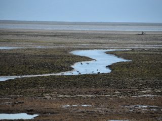 Lake Kerkini Wetlands