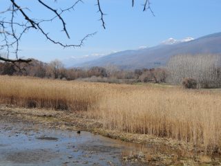 Lake Kerkini Wetlands