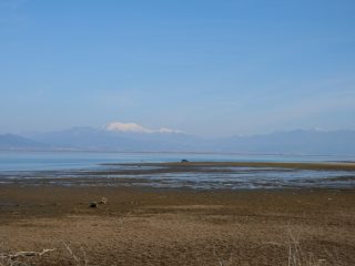 Lake Kerkini Wetlands
