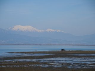 Lake Kerkini Wetlands