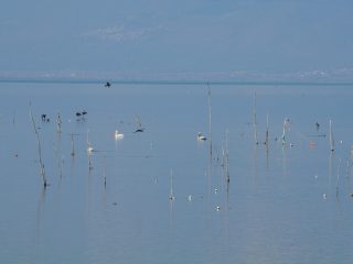 Kerkini See in der Region Serres